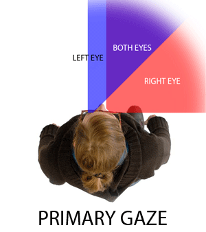SPOTTING-PRISM-ANIMATION Spotting Prism Field of View Animation