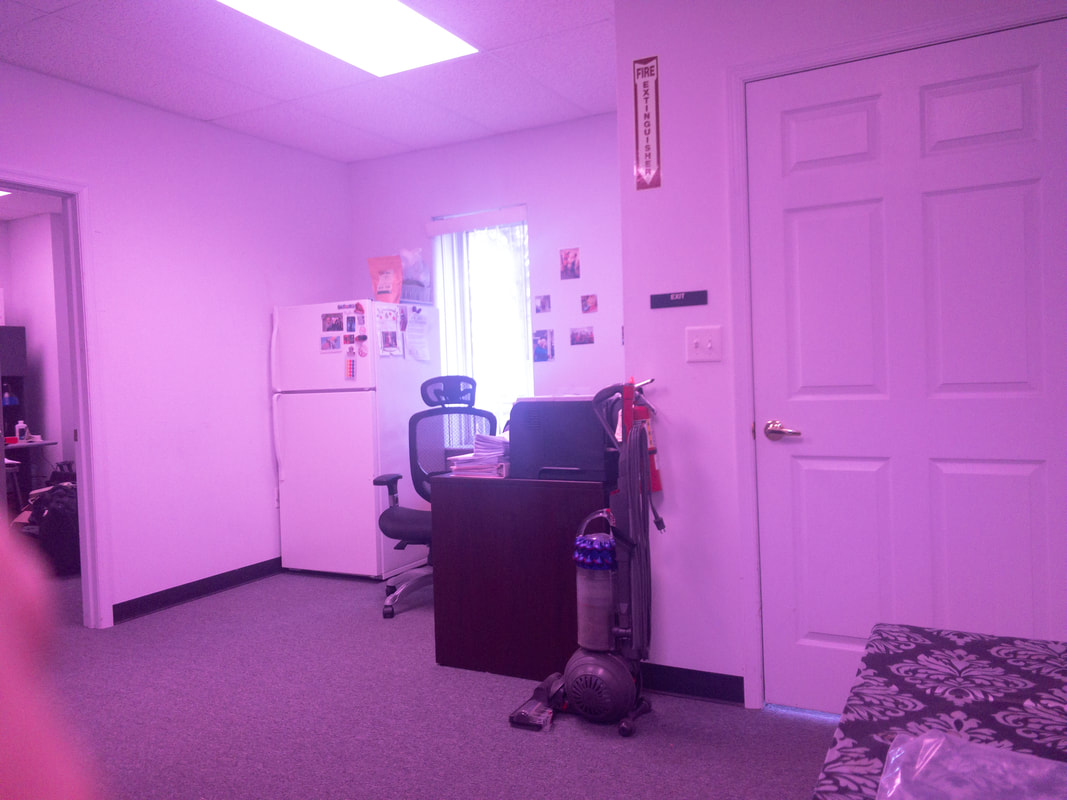 Office room as viewed with the Noir 72 tint, presenting a pinkish hue that slightly softens the colors, giving the space a subtle magenta tone, while maintaining visibility of the furniture.