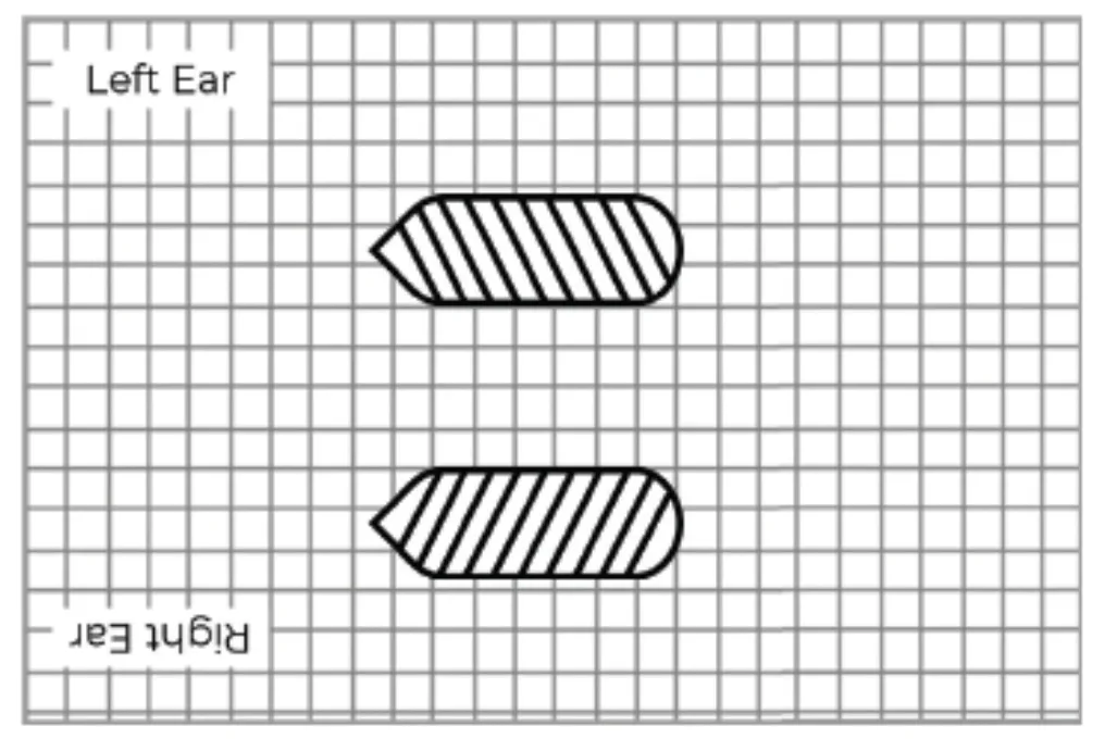 how to reattach your prisms Grid diagram showing left and right ear positions with two striped arrows pointing towards the center.